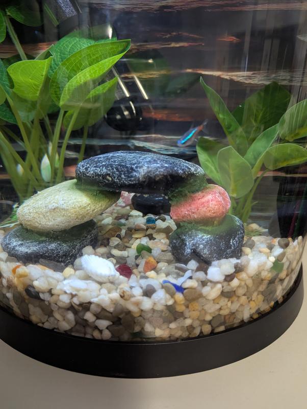 Correct. Not pastel colors.