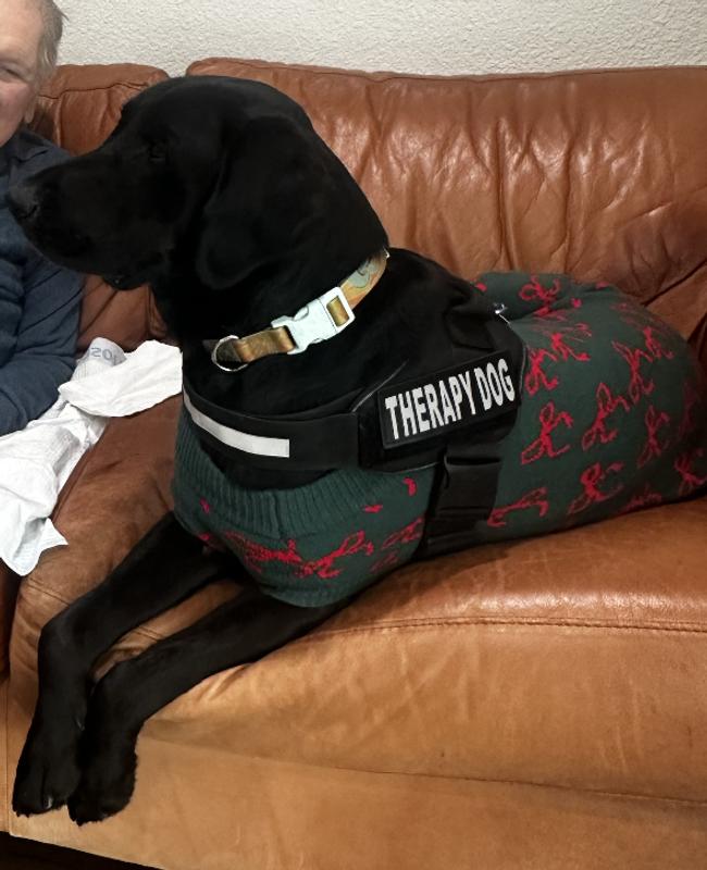 @thefailedservicedog lol my pet