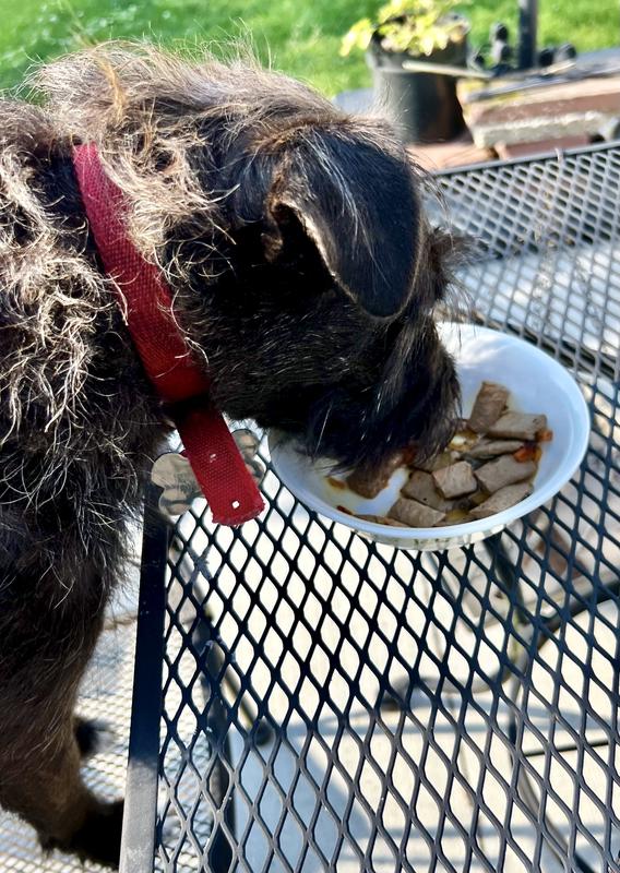 Gobbling this up fast, it's SO delish!