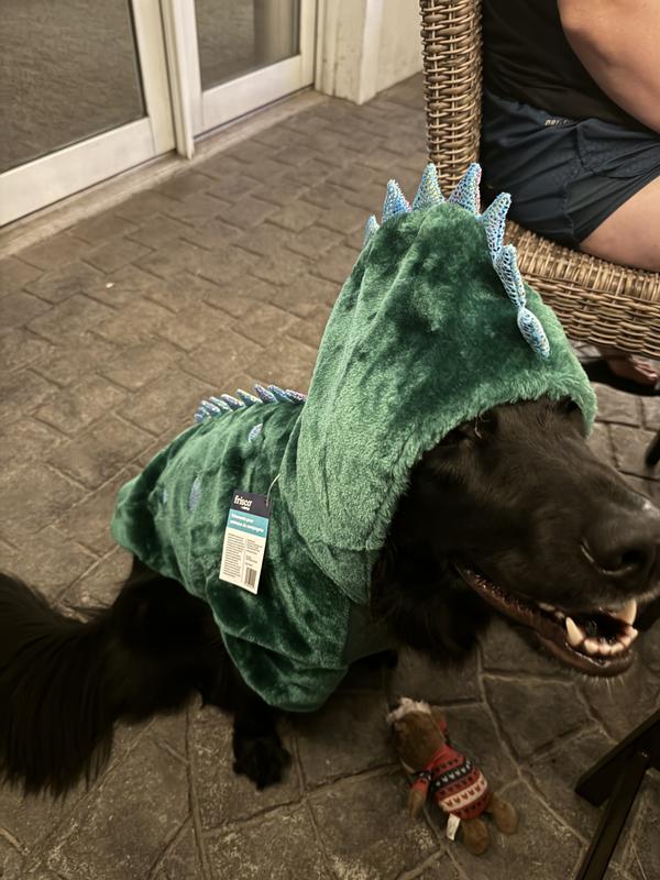 Frisco Cozy Dinosaur Dog & Cat Hoodie Costume