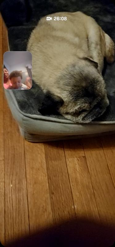 Calm ZEN.  No scratching