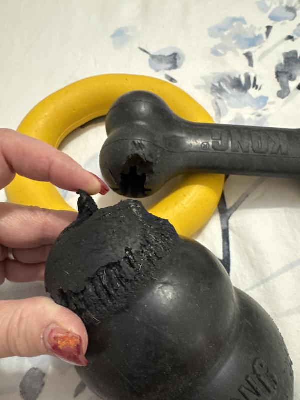 Beats the ‘Tough Chewers’ Kong chew toys
