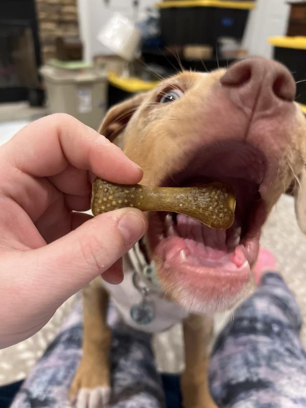 They smell worse than one of those Odor free bully sticks.