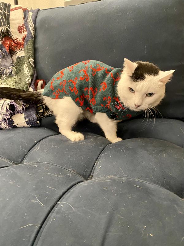 Soft! Fits my 8.5lb cat well