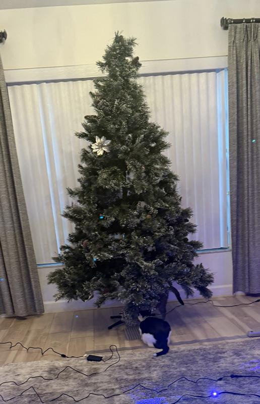 Bought a cat deterrent. My kitten said: challenge accepted.