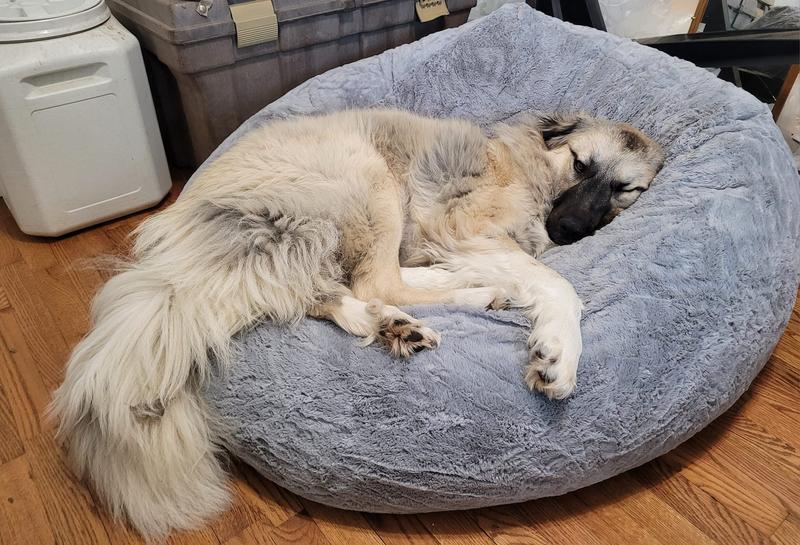 FURHAVEN Plush Ball Pillow Dog Bed with Removable Cover, Gray Mist