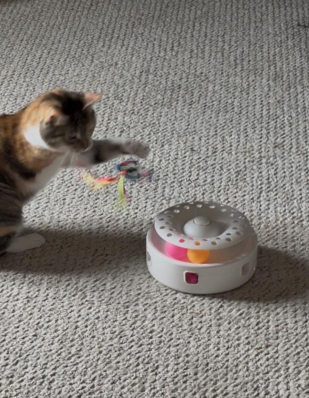 Penny catches a butterfly