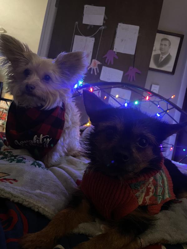 Ready for more treats