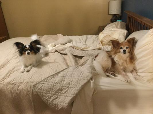 Ready for bed after a full stomach!