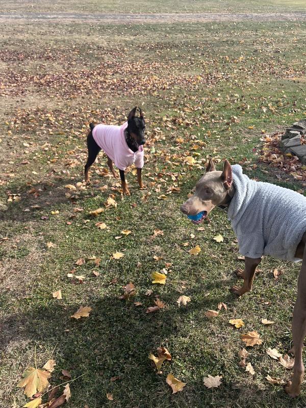 List of energy for outside playing