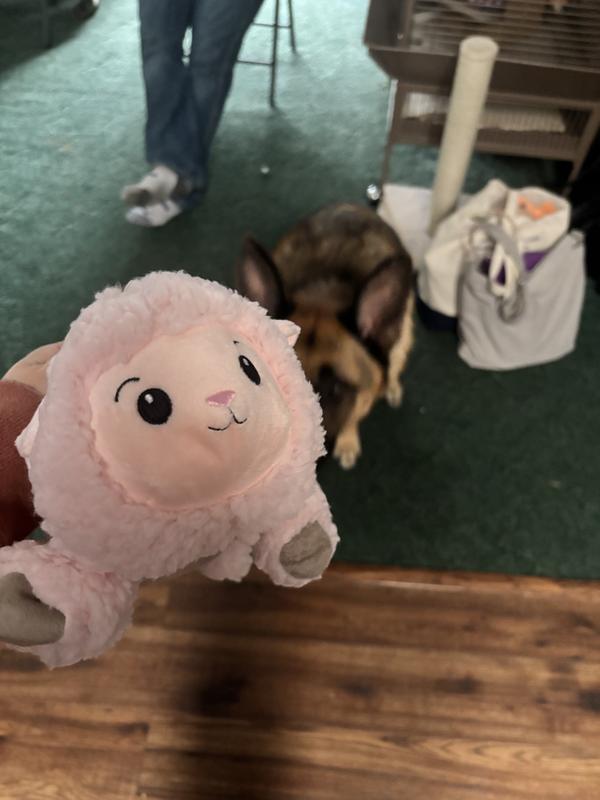 He wanted it immediately