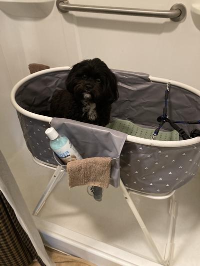 Furesh Elevated Folding Pet Bath Tub & Wash Station
