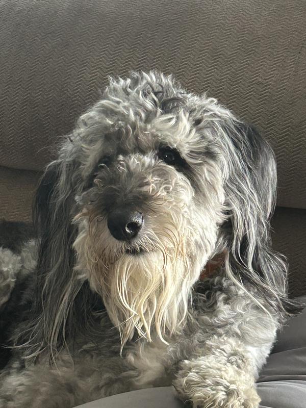 Sassy….headstrong…..bossy!!! But we love him!