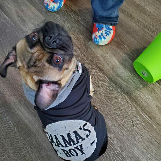 Discontinued WAGATUDE Mama's Boy Dog Hoodie, Black, XXSmall