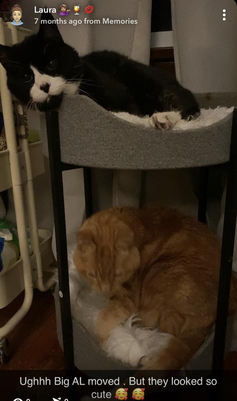 Sometimes the switch spots