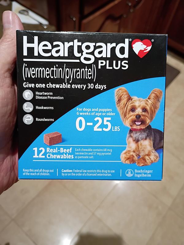 Heartworm prevention