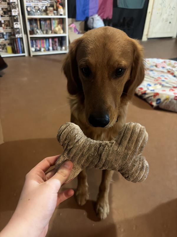 heres him with his dirty bone