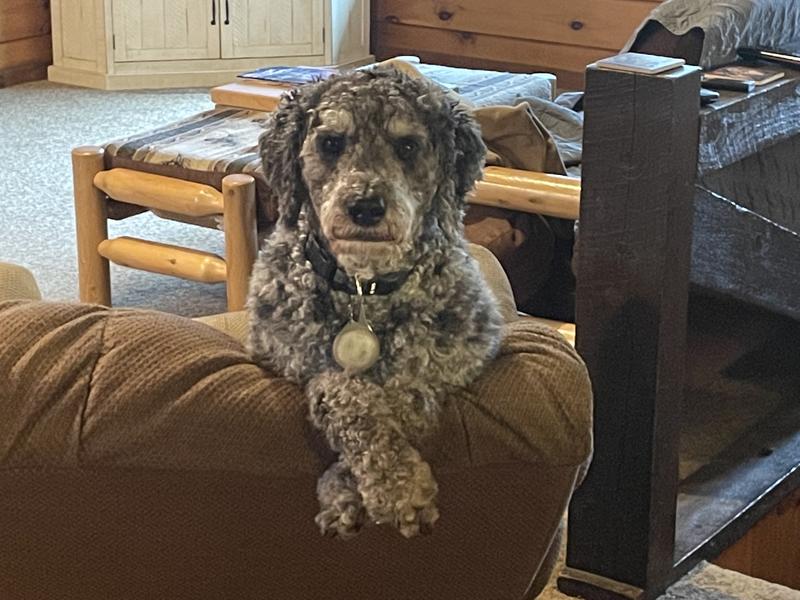 Assuming the tooth brushing position