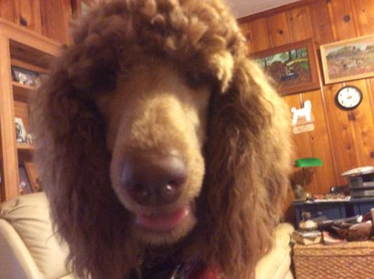 Is it time for a treat?
