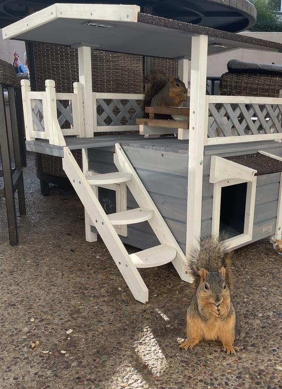 Enjoying a snack 🐿️