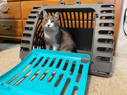 Sportpet designs outlet travel cat carrier