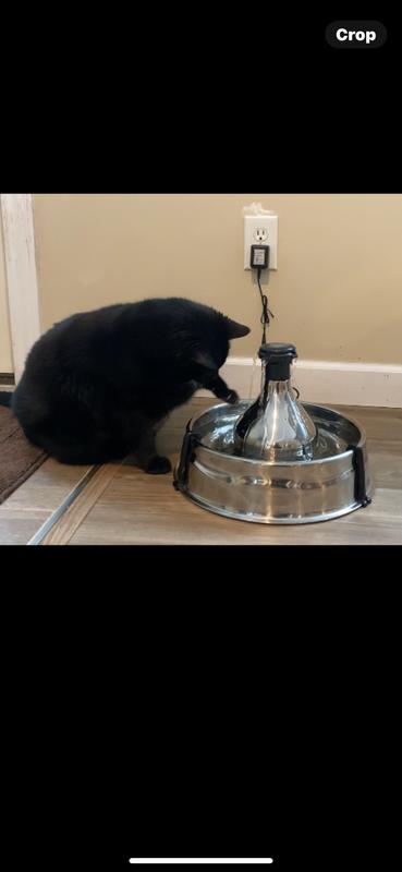 360 cat cheap water fountain