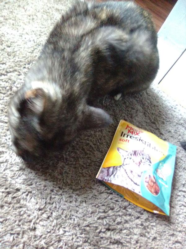 Meow mix hotsell irresistibles cat treats