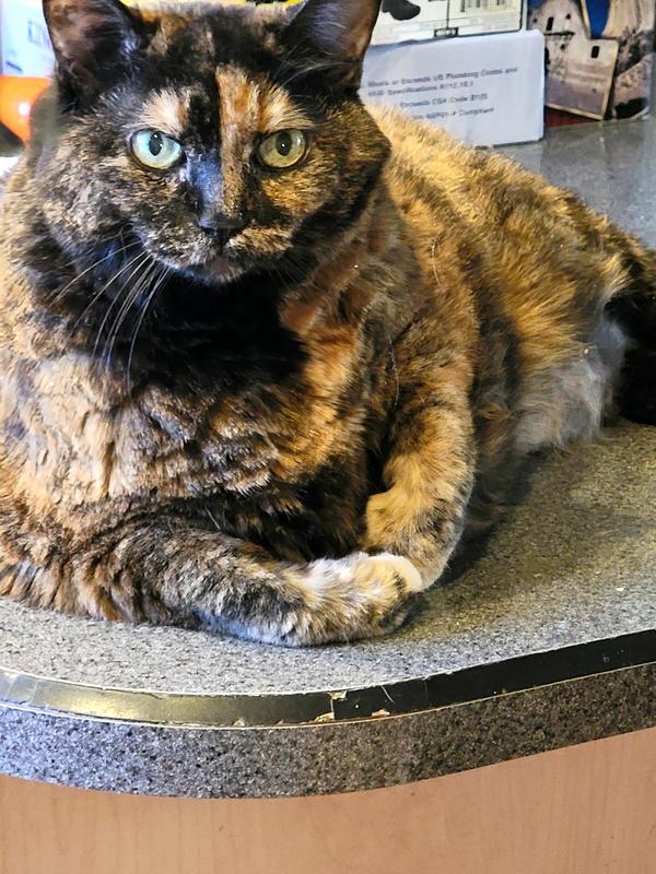 Tori 14 yrs