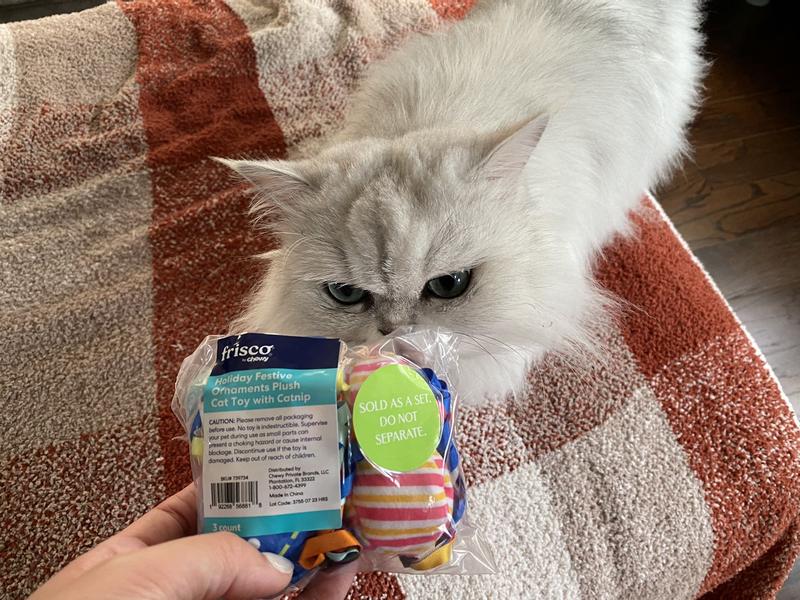 Frisco Holiday Cactus Plush Cat Toy with Catnip, 3 count