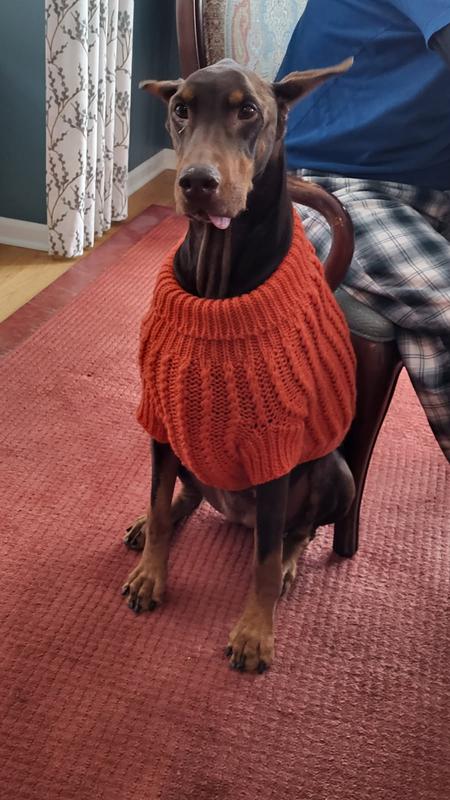 Dinah being cool in her new sweater