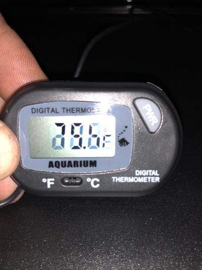 Fovolat Aquarium Digital Thermometer Clear Display Fish Tank