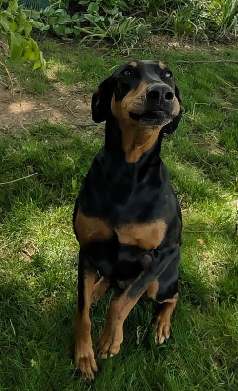 Black Betty says "He ain't lyin'!"