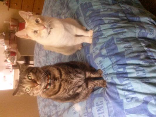 Alex 09 / Oliver 12
