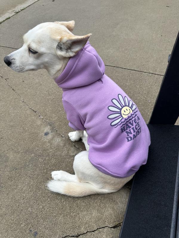 25lb puppy clothes AnniePaw Nurture Elite Post-Op Four-Leg Dog Recovery Suit Cozy