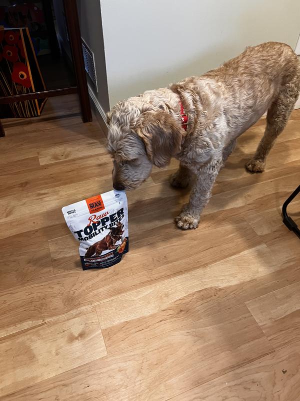 Passed the sniff test!