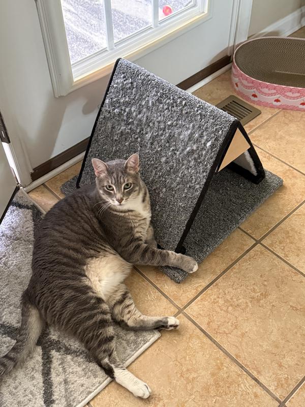 All torn up in 3 weeks