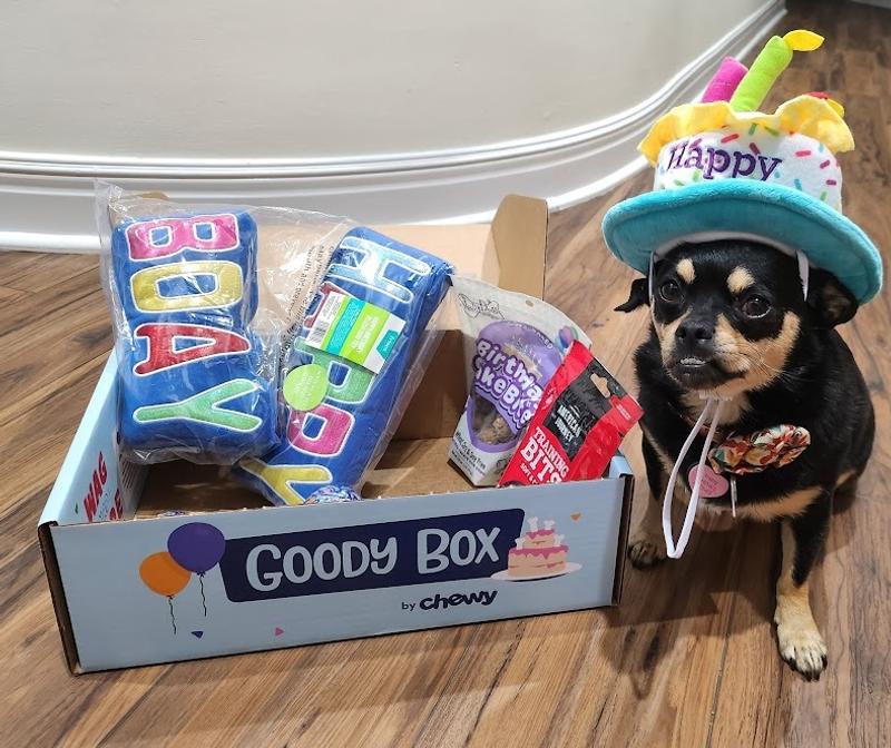 GOODY BOX Chewy Dog Toys, Treats, & Bandana reviews 