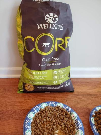 Wellness core low fat hotsell dog food