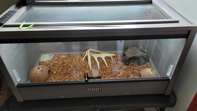 Awesome water/food bowls.