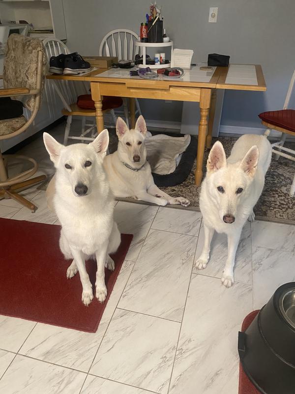 My Florida pack ! 💜💙🩷