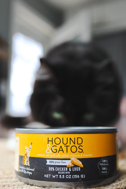 Hounds & clearance gatos cat food