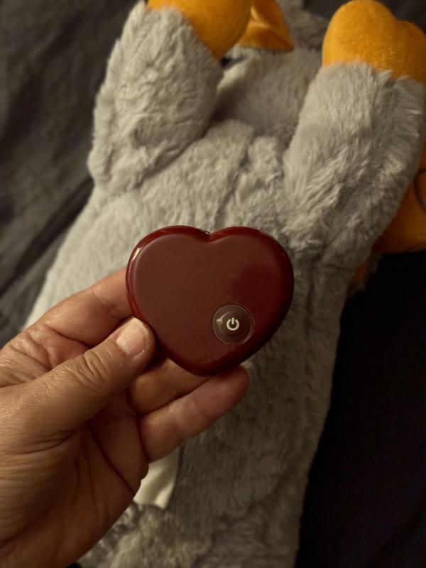 This is the little heart