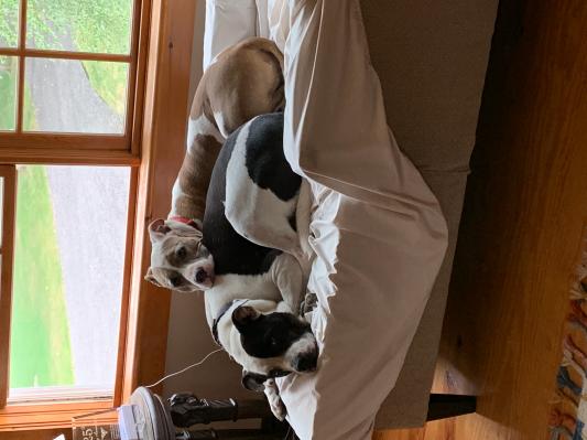 My boys relaxing after breakfast