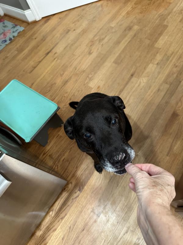 Wally ate it, and he is picky.🙂