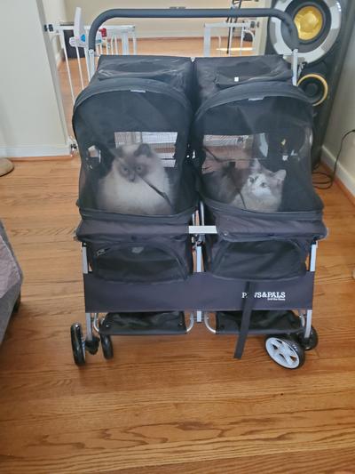 Paws and outlet pals double stroller