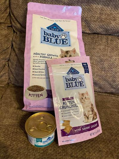 Blue buffalo kitten clearance treats