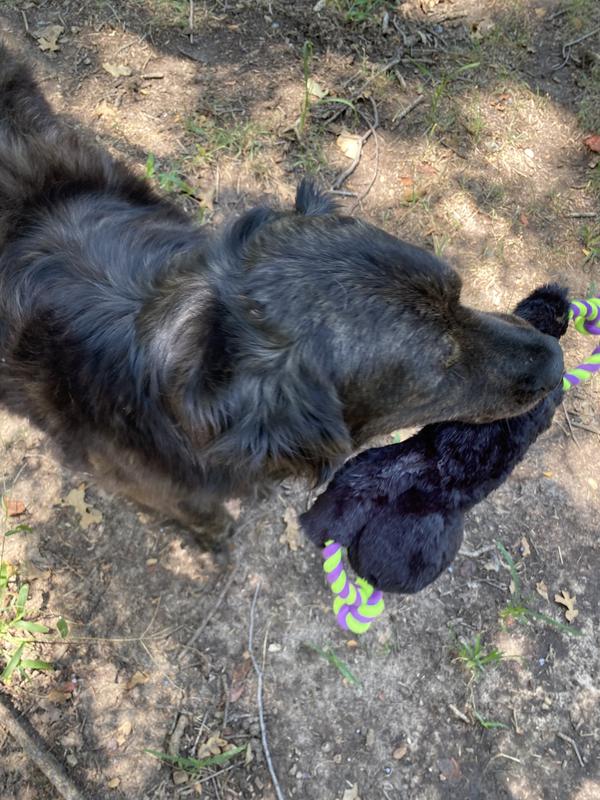 Loves her special toy!