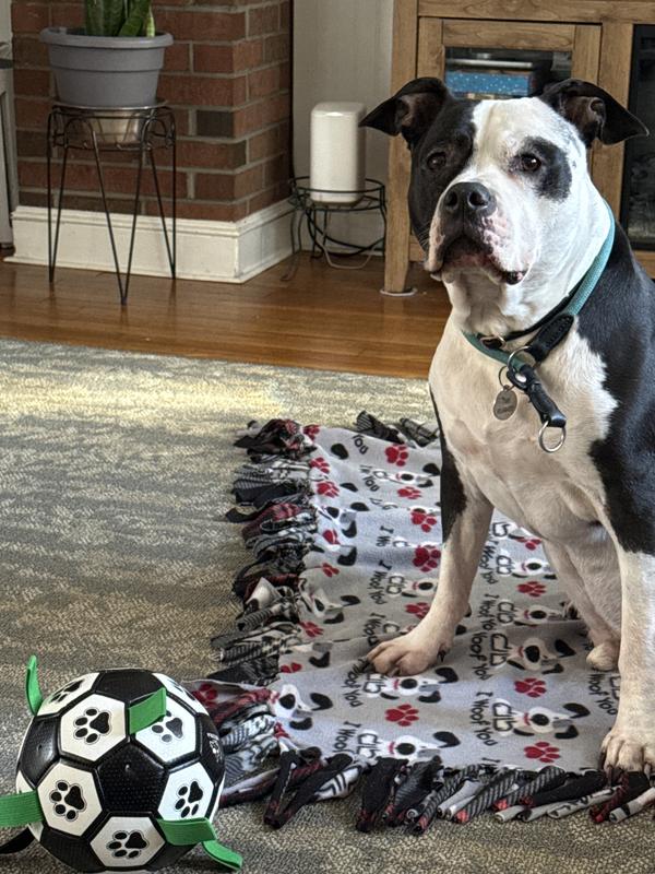 Patiently waiting to play!!