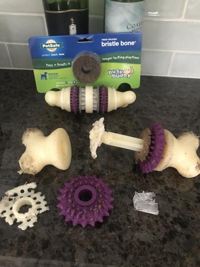 PetSafe Busy Buddy Bristle Bone - Treat-Holding Toy for Dogs - Treat Rings  Included - Treats Thoroughly Mixed During Bake to Prevent Choking 