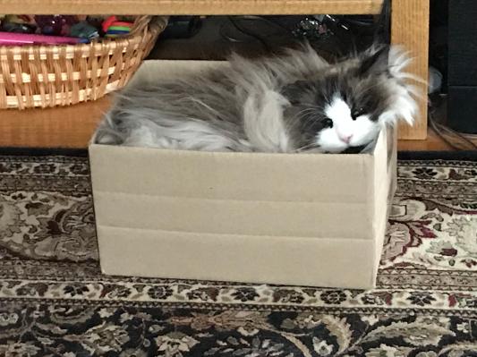 If I fits, I sits.